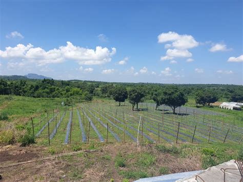 malibay san miguel bulacan|Lot For Sale in Malibay , San Miguel .
